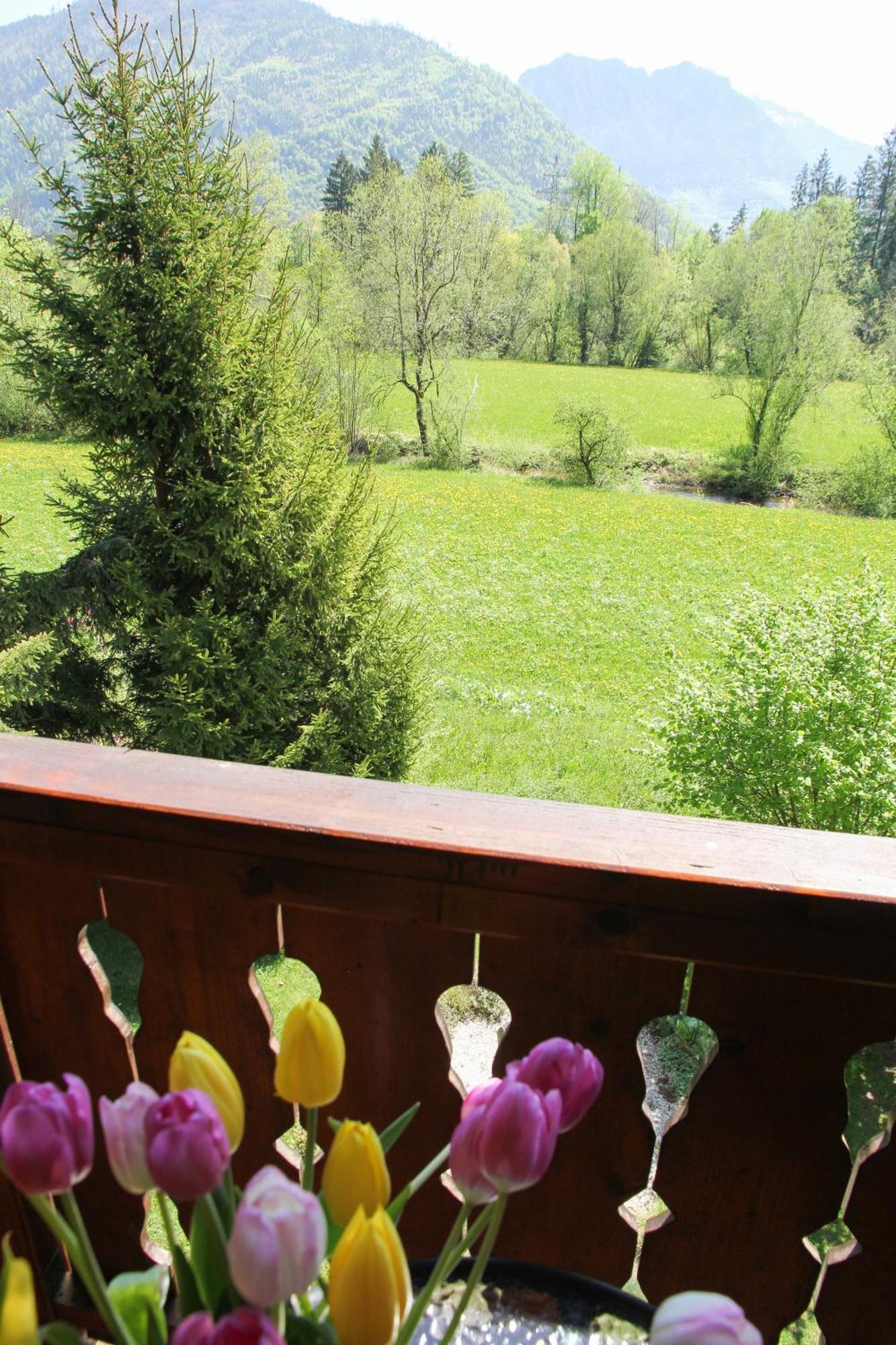 Villa Silvanus Ebensee Luaran gambar